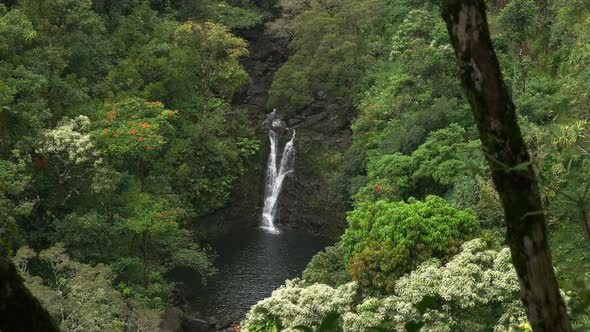 lower puahokamoa falls on the road to hana