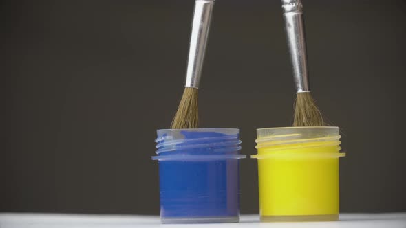 They Take Yellow and Blue Paint with a Brush Ukraine