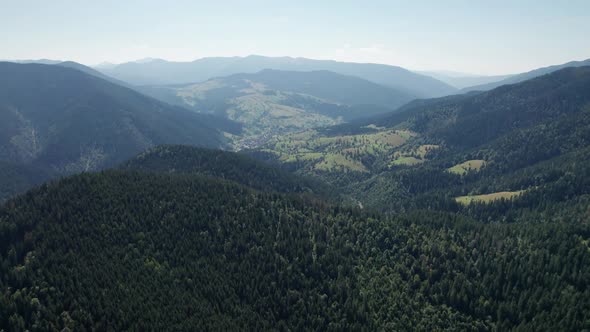 Panoramic Aerial View of the Carpathian Mountains with a Dense Green Pine Forest