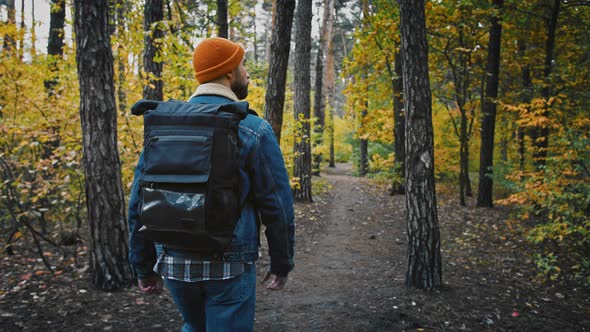 Back View Follow Shot of Young Man with Backpack Walking in Autumn Forest Slow Motion