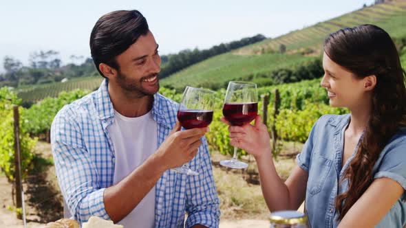 Couple toasting wine glasses in the farm