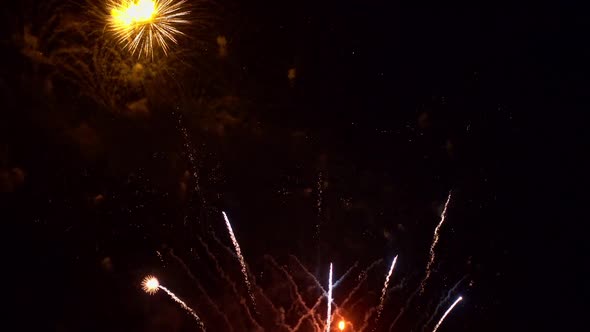 Colorful Firework display at night on sky background