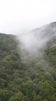 Carpathian Mountains