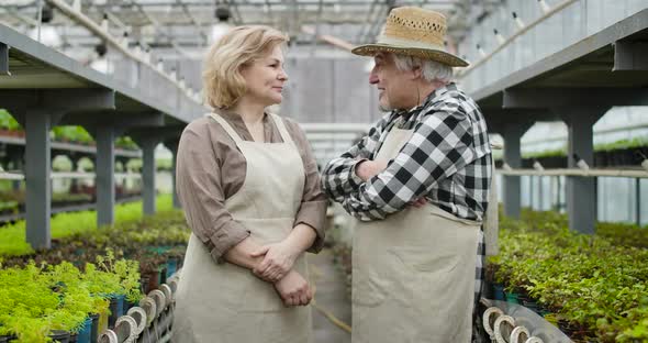 Side View of Cheerful Senior Caucasian Man and Woman Talking in Greenhouse, Turning To Camera and