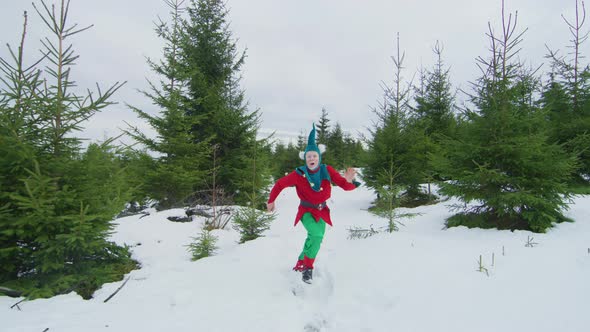 Elf running and jumping