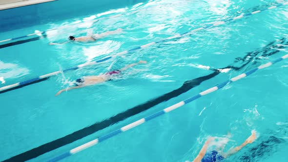 Top View of Swimmers Training in a Swimming Pool