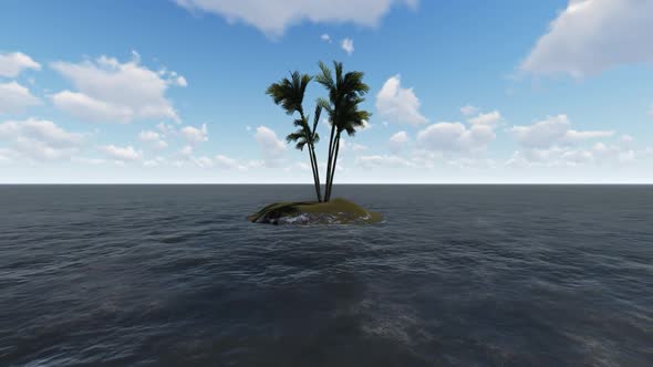 Trees grow in the middle of the sea