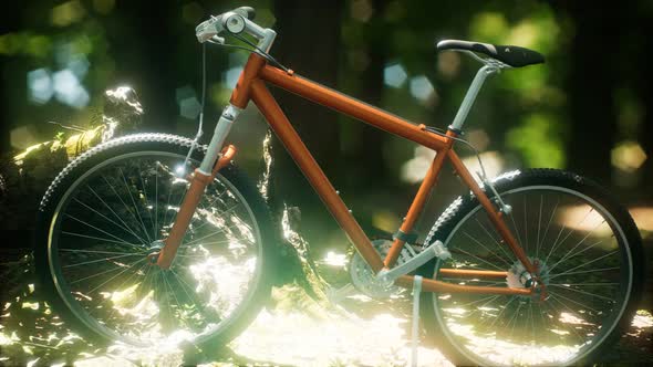 Mountain Bike on the Forest Path alt