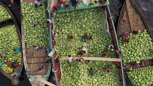 Aerial view of people working with watermelons, Dhaka, Bangladesh.