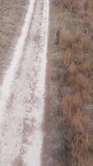 Vertical Video a Dirt Road Through an Empty Field