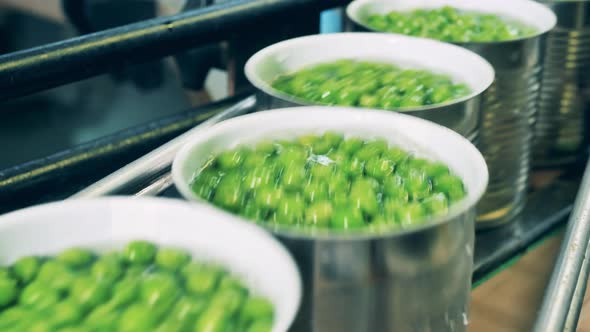 Close Up of Unsealed Tin Cans with Peas on the Conveyor