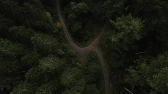 Aerial shot of foggy woodland deep in the countryside, view of pathway splitting off into different