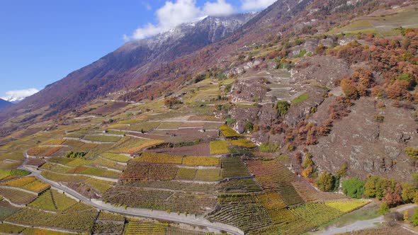 The Valais Wine Region in Switzerland Aerial View