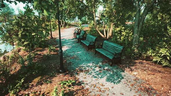 Empty Benches at Public Park During Curfew Cause of Corona Virus Quarantine