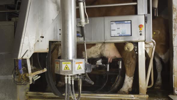 State of the art milking machine.