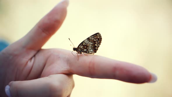 Happy Girl Relax On Comfort Holidays Morning. Playful Butterfly On Finger.Leisure Vacation On Nature