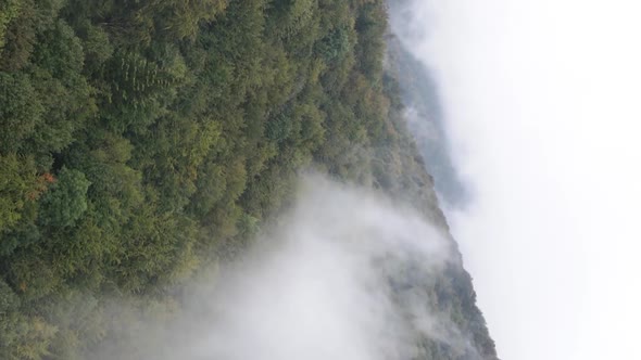 Vertical Video of Fog in the Mountains
