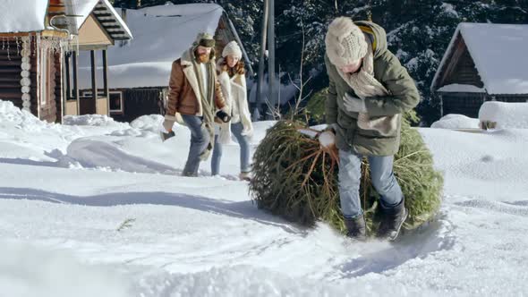 Boy Helping Parents to Carry Christmas Tree