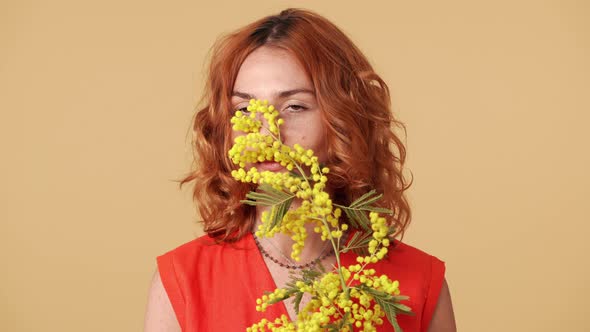 Colorful Portrait of Gentle Woman with Ginger Hair Holding Branch of Mimosa Flowers and Smelling