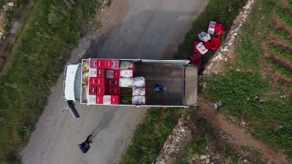 Workers Loading Truck