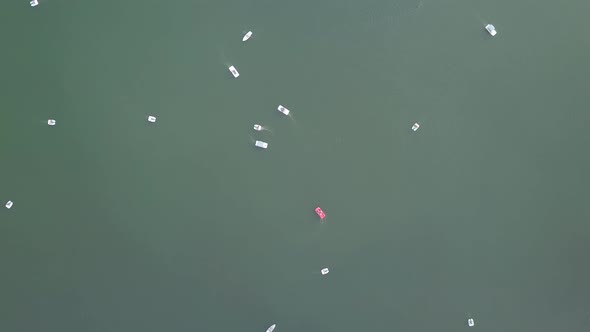 Catamarans float on the lake