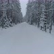 Car Driving on Snowy Road in Winter Forest Point of View POV Shot - VideoHive Item for Sale