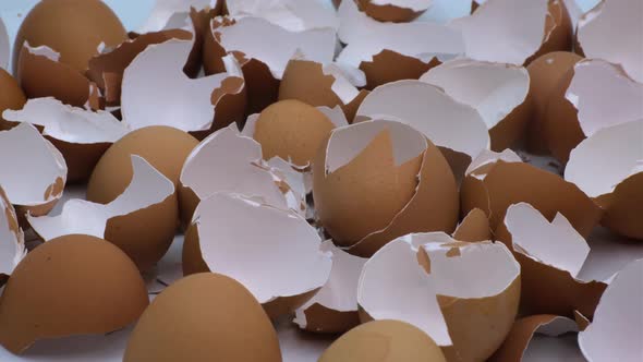 Eggshell