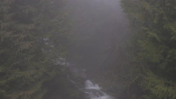 Water Creek in Canadian Nature with Green Trees During Foggy Winter Day