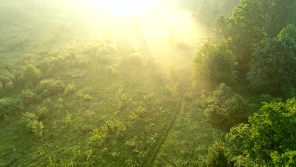 Aerial Shot of Summer Misty Meadow and Green Trees in Sunset Warm Lights