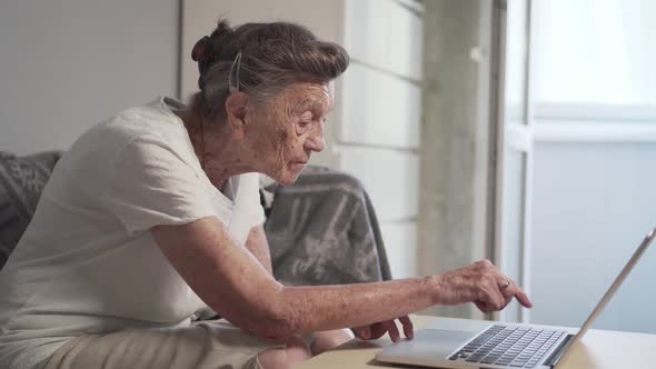 Gray Haired Senior Woman Waving Hand in Front Laptop While Having Video Call with Family Members