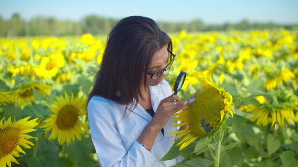 Scientist Examining Seeds Under Magnifier in Field