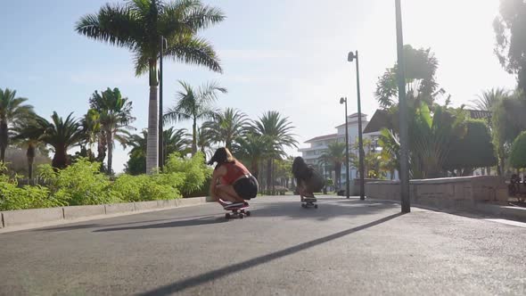 Two Girls Roll on the Boards on the Asphalt Path Along the Palm Trees