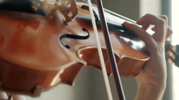 Close-up of the violinist: Musician playing violin classic music