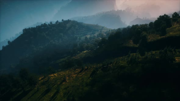 Autumn Forest on Green Rocky Hills