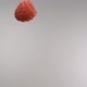 A flying red raspberry passing through in front of the camera - VideoHive Item for Sale