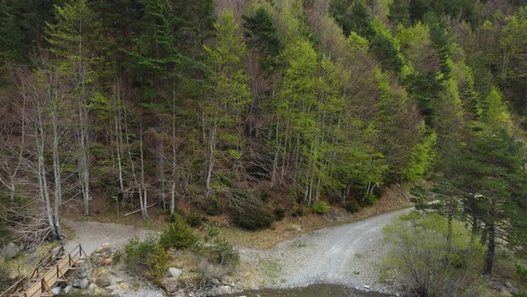River and forest in the mountains during spring with beautiful colors in the trees
