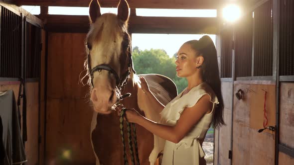 Lady Model in Long White Dress Poses By Large Horse