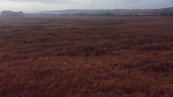 Autumn field with fog. smooth panorama. Aerial view. alt