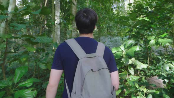 Man Hiking In Deep Forest