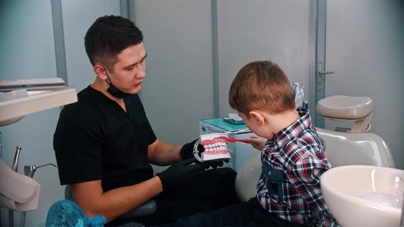 A Little Boy Having a Treatment in the Dentistry - Explaining How To Brush Teeth on the Jaw Model