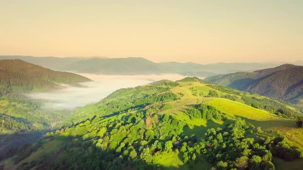 Aerial View of the Endless Lush Pastures of the Carpathian Expanses and Agricultural Land