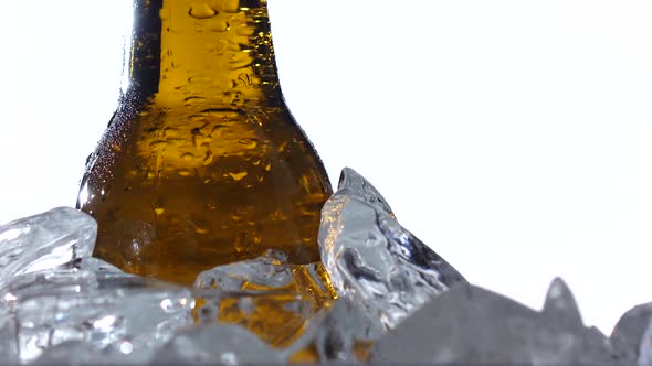 Festival of Beer Capacity Are Bottle of Beer in the Ice. White Background