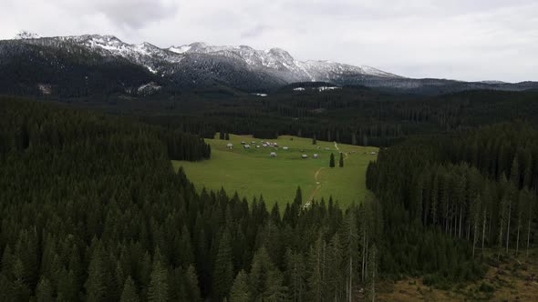 Javornik Mountain pasture in Pokljuka Alpine Forest; cinematic aerial reveal, Slovenia