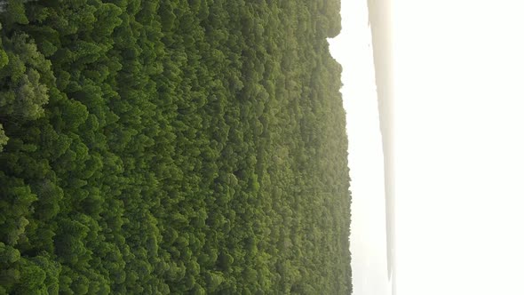 Zanzibar Tanzania  Coast of Island Covered with Thickets Slow Motion