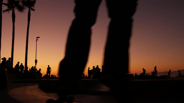 Silhouette of Young Jumping Skateboarder Riding Longboard, Summer Sunset Background. Venice Ocean