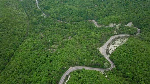 Aerial View From Road in Mountain Forest Is Beautiful with Many Trees