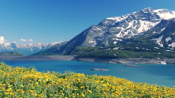 Panoramic video snowcapped mountain range, blue lake and yellow dandelion flowers