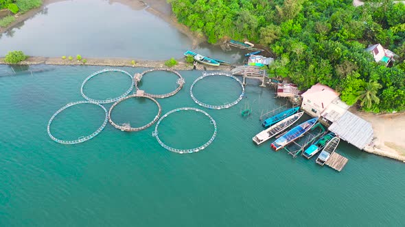 Fish Farm with Cages for Fish and Shrimp, Top View, Fish Cage for Tilapia, Milkfish Farming