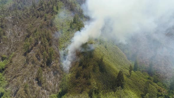 Forest Fire in the Mountains