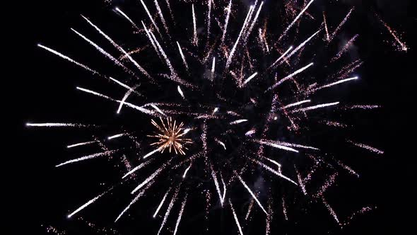 Colorful Fireworks in the Night Sky